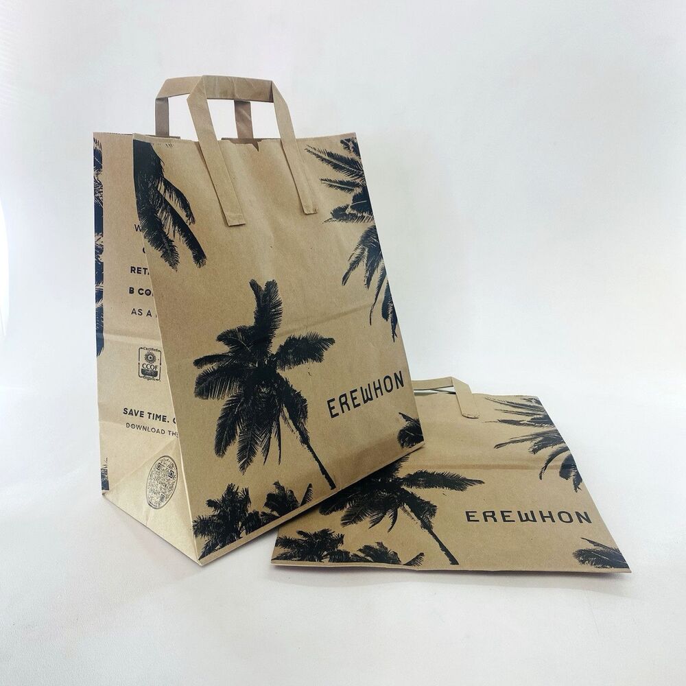 Erewhon Brown Paper Palm Tree Craft Gift Shopping Grocery Market Tote Bag Set x2